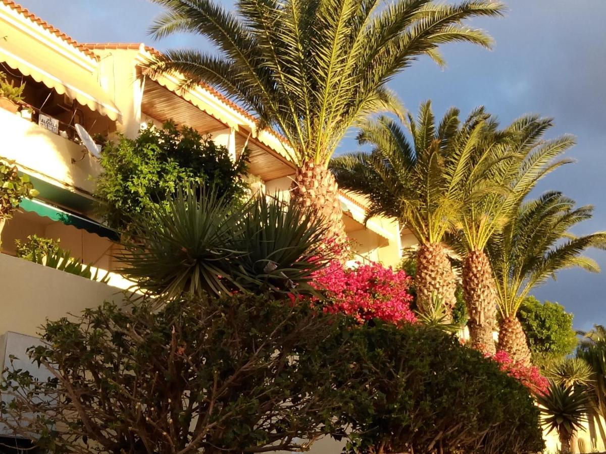 Paradis * Morro Jable (Fuerteventura)