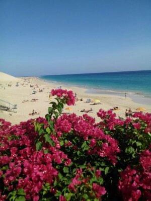 Paradis *